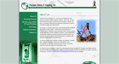 Desktop Screenshot of precision-survey.com